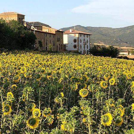 Migueltxoenea Villa Lacar Esterno foto