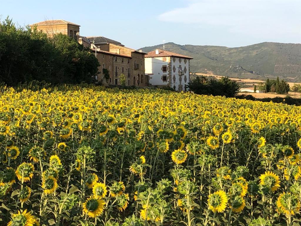 Migueltxoenea Villa Lacar Esterno foto